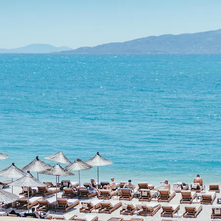 Elar Sarandë
